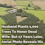 Farmer Plants 1,000 Oak Trees to Create Memorial for Late Wife