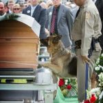 HE WOULDN’T LEAVE THE CASKET—NOT UNTIL HE COULD SMELL THE TRUTH