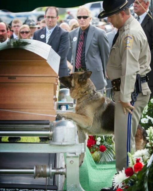 HE WOULDN’T LEAVE THE CASKET—NOT UNTIL HE COULD SMELL THE TRUTH