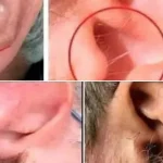 DID YOU KNOW that if hair grows on your ears, it’s because your body is 03/15/2025