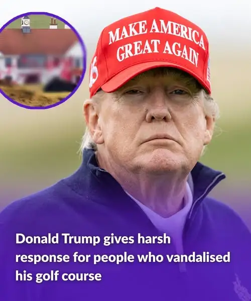 Donald Trump gives harsh response for people who vandalised his golf courseDonald Trump gives harsh response for people who vandalised his golf course