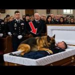 THE K9 WOULDN’T LEAVE HIS SIDE—EVEN AT THE FUNERAL