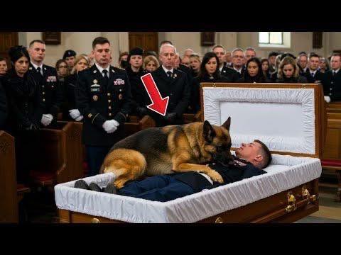 THE K9 WOULDN’T LEAVE HIS SIDE—EVEN AT THE FUNERAL
