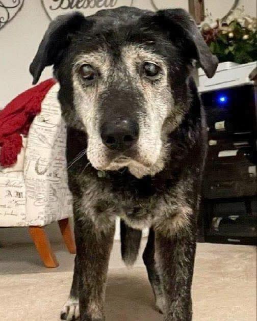 Show some love to this young legend! Wishing Henry a Happy 19th Birthday!