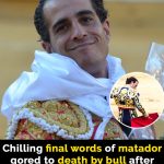 Bullfighter’s chilling final words before death