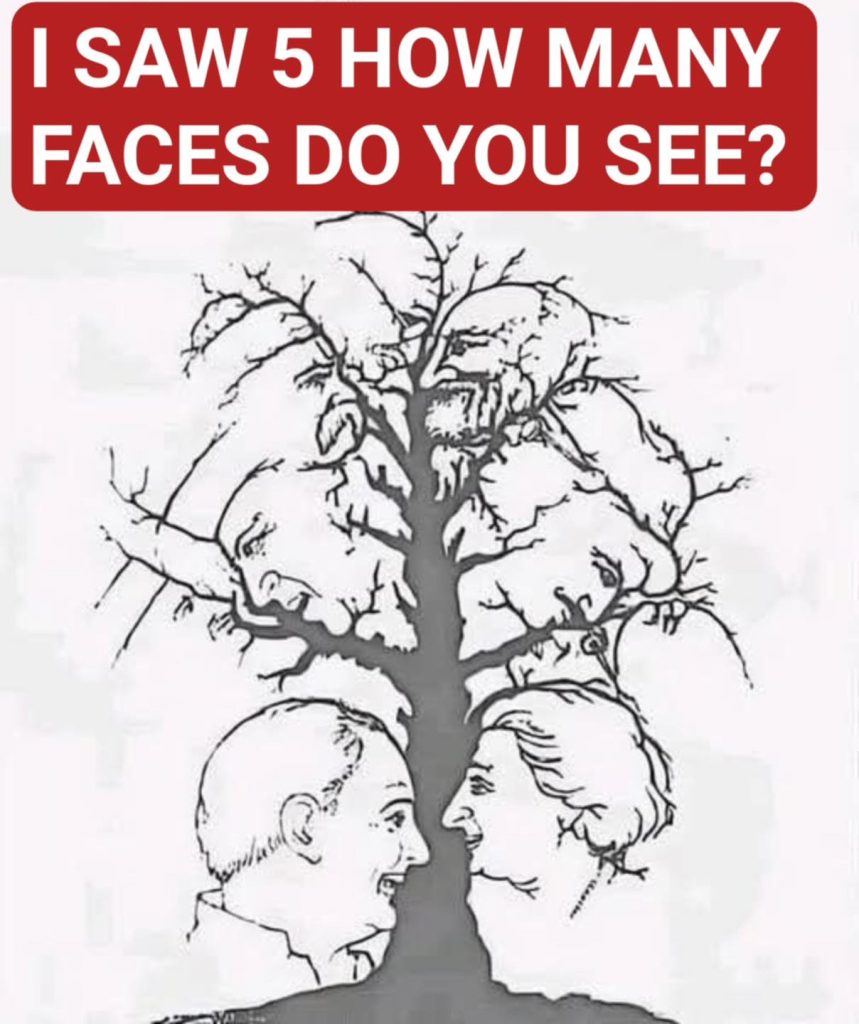 Only a few people can find all the faces hidden in this tree – are you one of them?