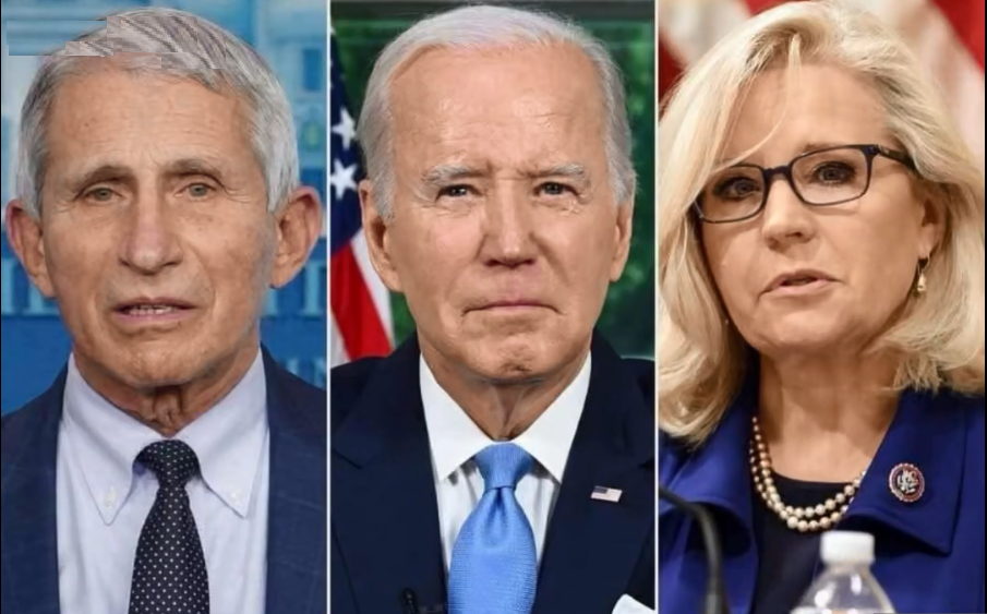 Biden Pardons For Cheney, Fauci, Others Could Backfire: Legal Expert