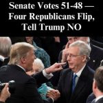 Senate Delivers Bipartisan Rebuke to Trump’s Canadian Tariffs in 51–48 Vote