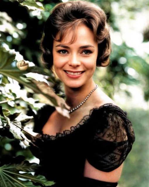 She Played Timmys Mom on Lassie, See This Legendary Actress Now at 98