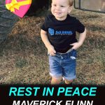 4-year-old and great-grandmother killed in farming accident