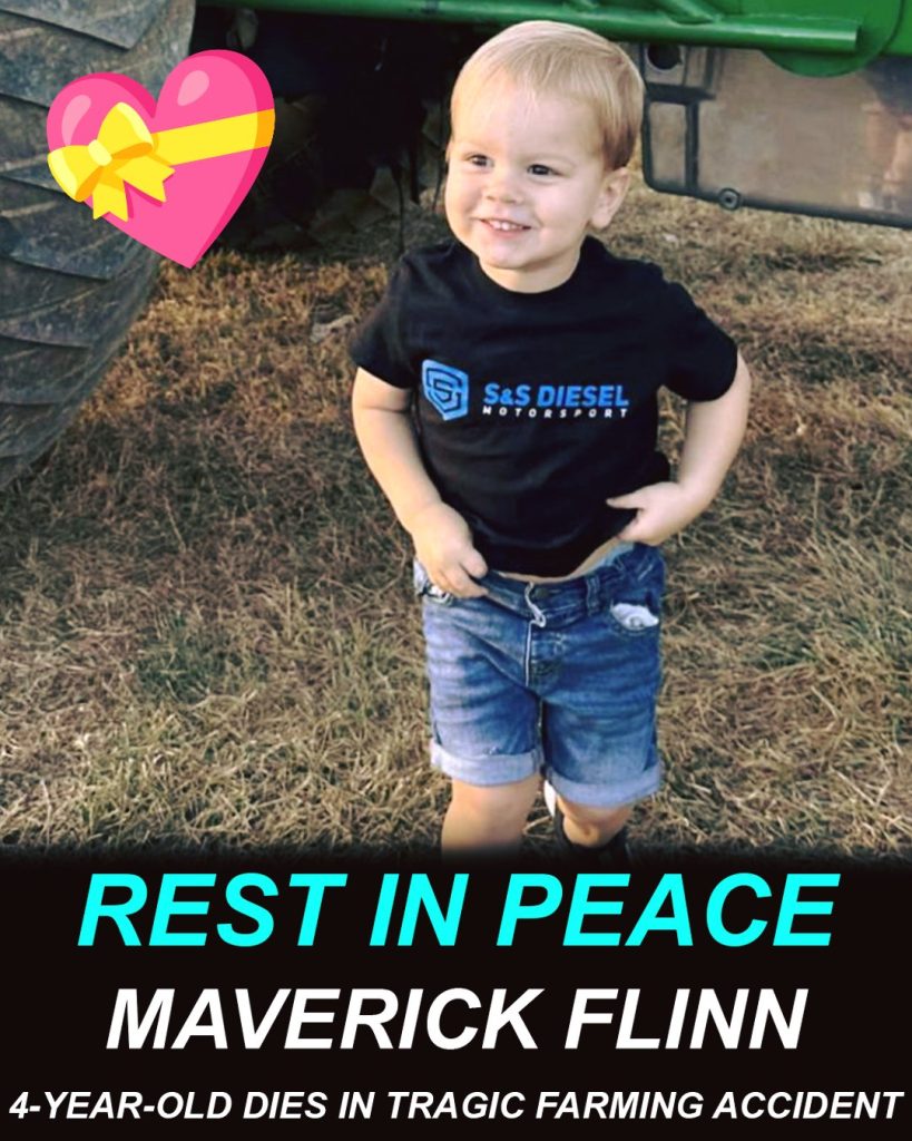 4-year-old and great-grandmother killed in farming accident