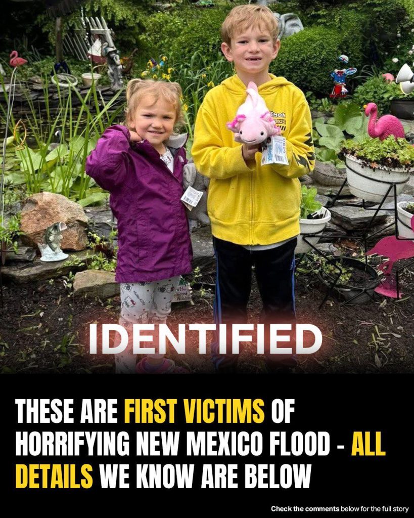 Two Children Among Dead As Floodwaters Ravage New Mexico Town