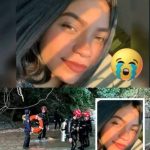 Missing Girl Found in the Woods