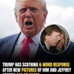 Trump Fires Back With Blunt 6-Word Statement After Epstein Photos Resurface