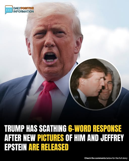 Trump Fires Back With Blunt 6-Word Statement After Epstein Photos Resurface
