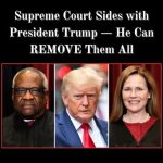 Public Official Under Investigation for Alleged Misuse of Authority in Cannabis Industry Deal