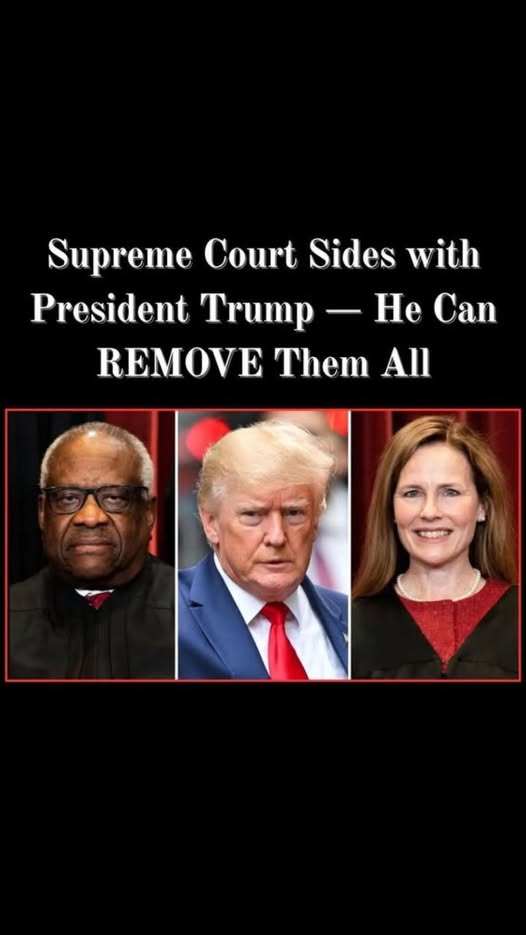 Public Official Under Investigation for Alleged Misuse of Authority in Cannabis Industry Deal