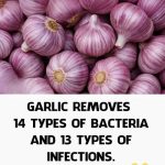 Garlic and Cloves: Two Treasures for Your Health