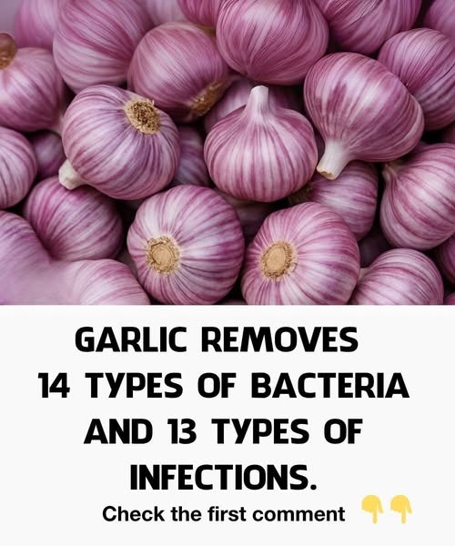 Garlic and Cloves: Two Treasures for Your Health