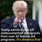 Trump administration to exclude undocumented immigrants from more than 15 federal aid programs: ‘America comes first’
