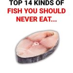 14 Fish You Should Think Twice Before Eating