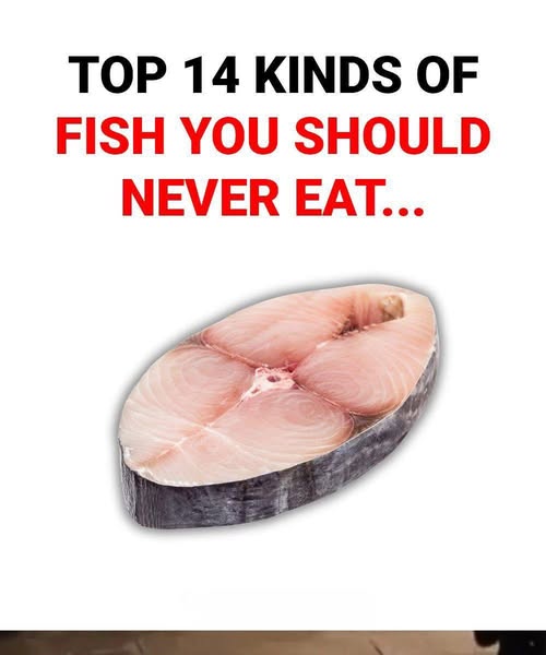 14 Fish You Should Think Twice Before Eating