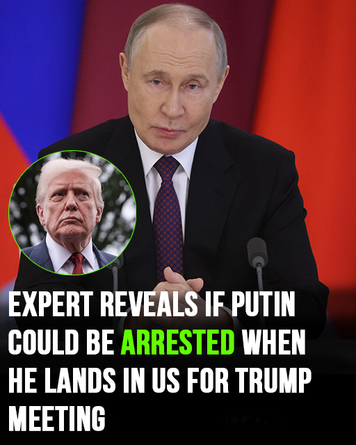 Expert reveals if Putin could be arrested when he lands in the US