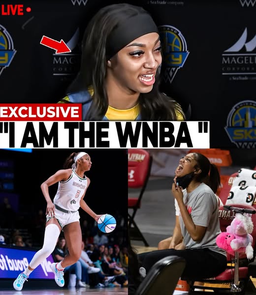 The Vanishing Star: Has Angel Reese Quit on the WNBA for Good?
