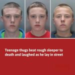 Teen Brothers Jailed After Brutal Attack That Shocked a Community