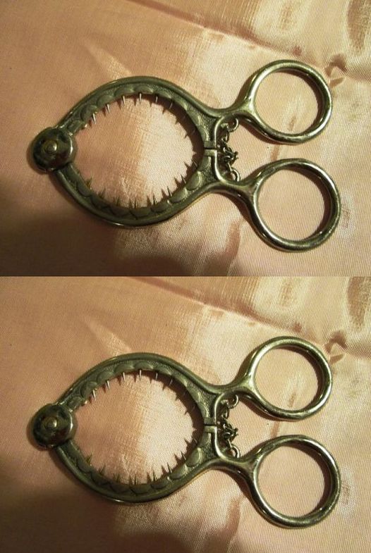 How to Master This Strange Kitchen Tool — The Easy Way