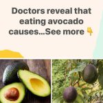 Unexpected Health Effects of Eating Avocados Revealed by Doctors