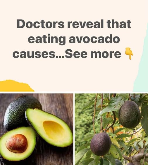 Unexpected Health Effects of Eating Avocados Revealed by Doctors