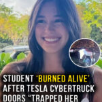 Student ‘burned alive’ after being trapped by her Tesla