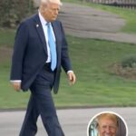 Trump’s walk to Marine One caught in photo leaves people talking after detail spotted