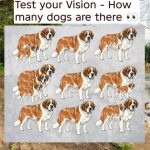 You need to have sharp eyes to answer this! – how many dogs !