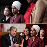 💥 BREAKING NEWS: “If you don’t love America — then leave!” Senator…