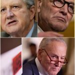 Jim Jordan and Mike Johnson Clash With Ilhan Omar in Fiery ‘Defund the Police’ Hearing That Shakes Washington