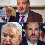 A political earthquake just hit. Senator Ted Cruz is targeting George Soros…