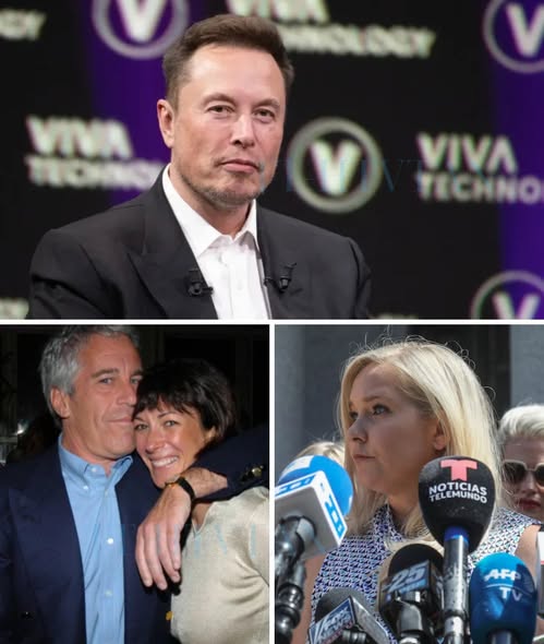 “EVERY PAGE IS WORTH A MILLION DOLLARS” — ELON MUSK IGNITES A GLOBAL MEDIA FIRESTORM WITH A $100 MILLION TRUTH BOMBSHELL