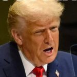 Bombshell New Approval Ratings Reveal What Americans Really Think of Donald Trump