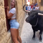 “Tourist Faces Bull — What Happens Next Will Shock You”